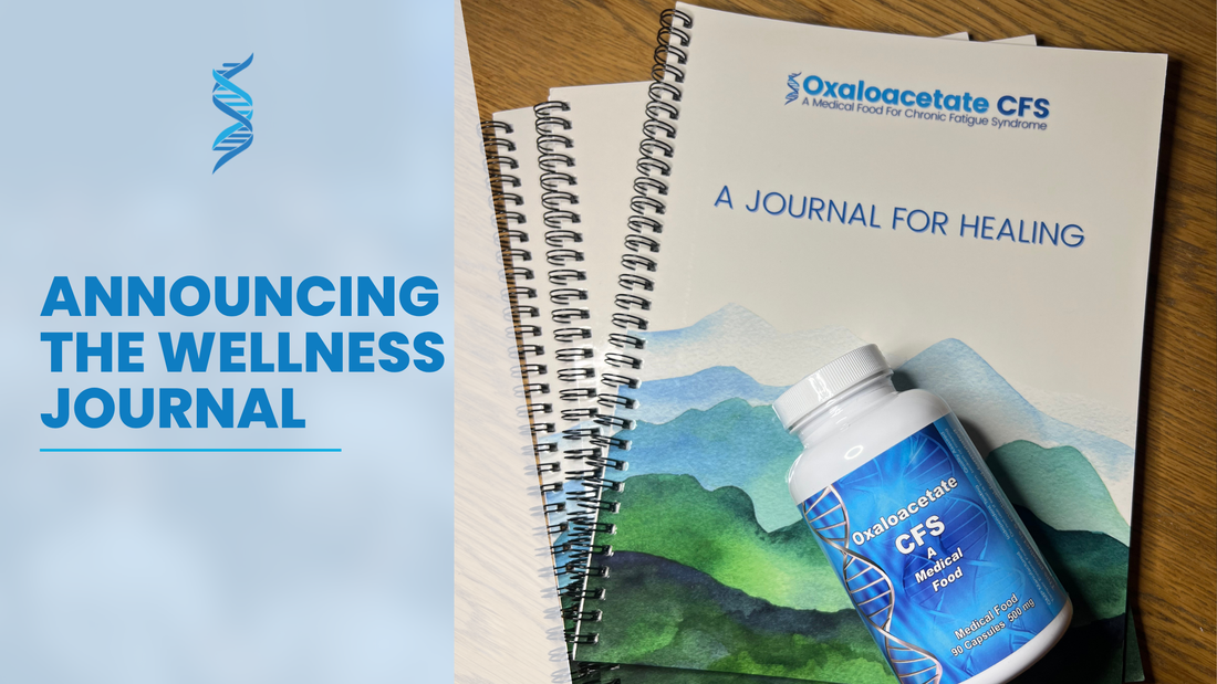 Introducing The Wellness Journal