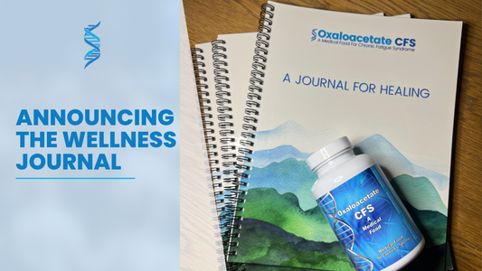 Introducing The Wellness Journal