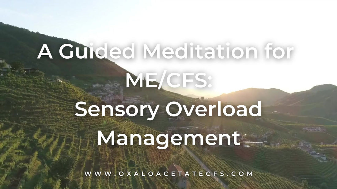 SENSORY OVERLOAD MANAGEMENT