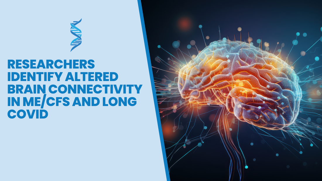 Researchers Identify Altered Brain Connectivity in ME/CFS and Long COVID