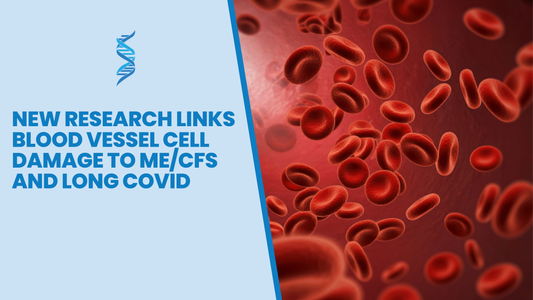 New Research Links Blood Vessel Cell Damage to ME/CFS and Long COVID