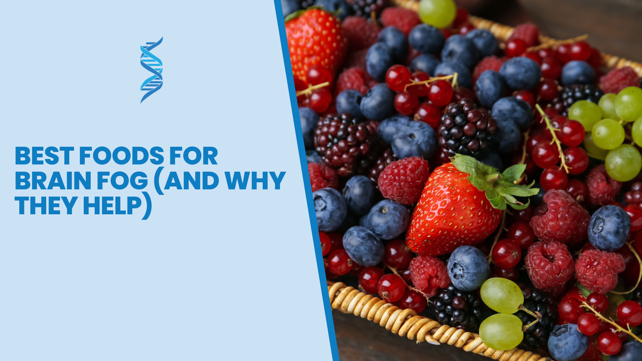 Best Foods for Brain Fog (and Why They Help) – Oxaloacetate CFS