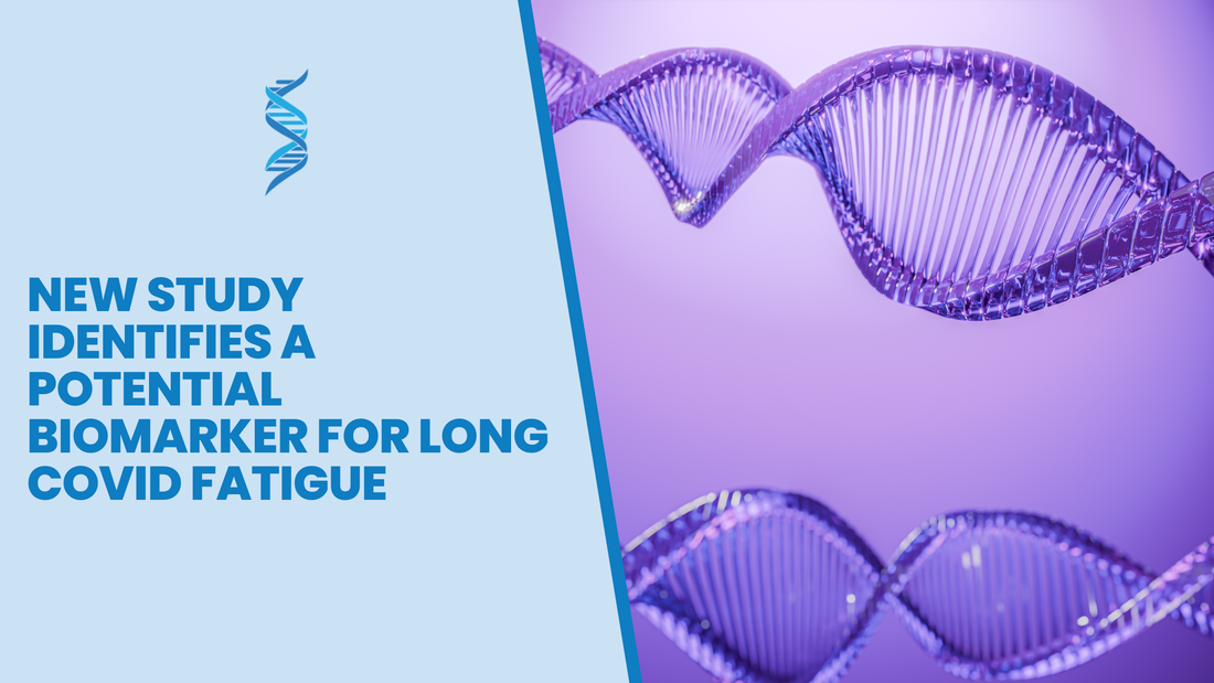 New Study Identifies a Potential Biomarker for Long COVID Fatigue