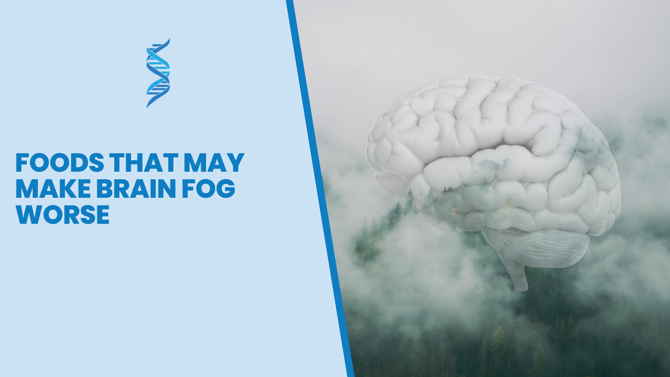 Foods That May Make Brain Fog Worse – Oxaloacetate CFS